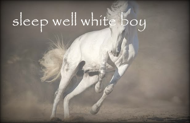 horse